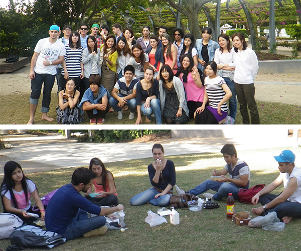 picnic_image