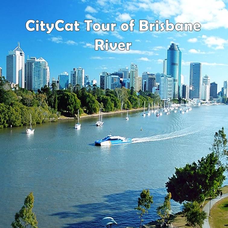 CityCat tour of Brisbane river Langports