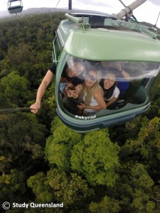 Rainforest - Cairns