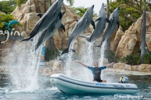 Sea World - Gold Coast