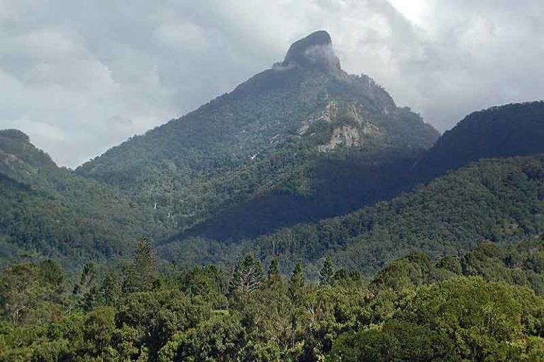 mount warning Langports