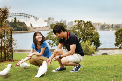 Study English