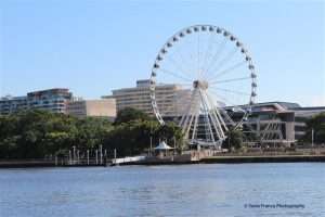 Gallery_Brisbane (12)