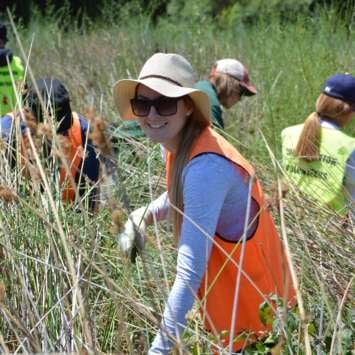 Community volunteering